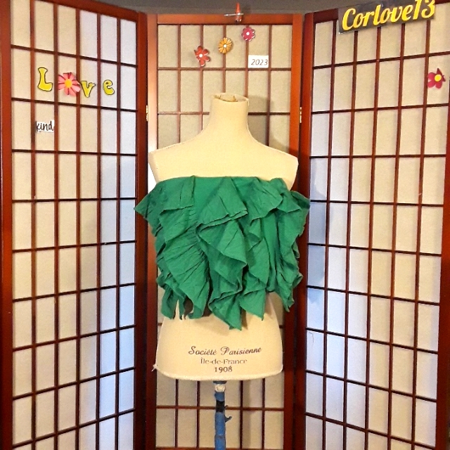 310 Anthropologies Top
